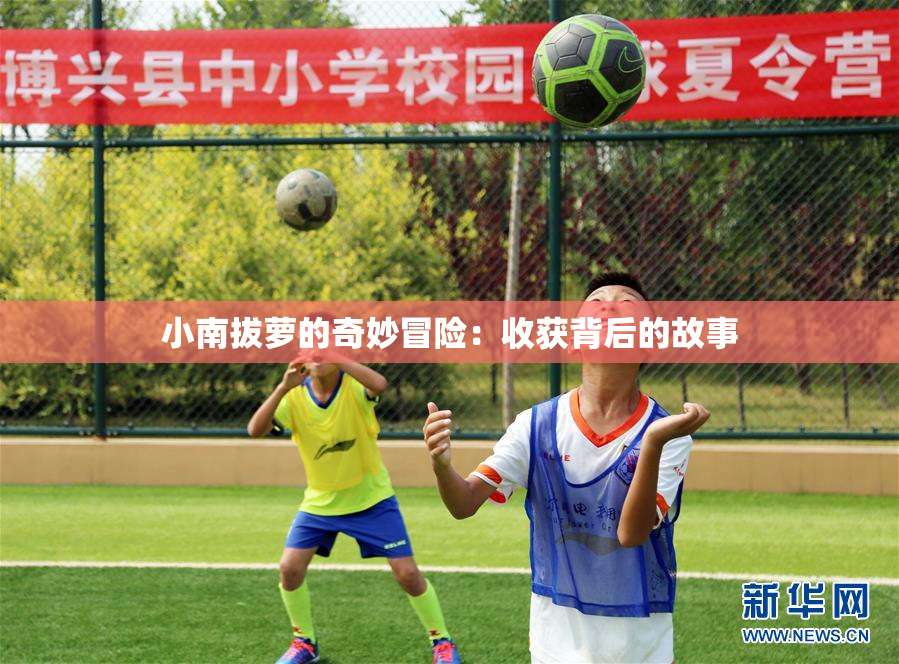小南拔萝的奇妙冒险：收获背后的故事