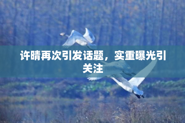 许晴再次引发话题，实重曝光引关注