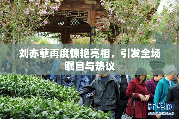 刘亦菲再度惊艳亮相，引发全场瞩目与热议