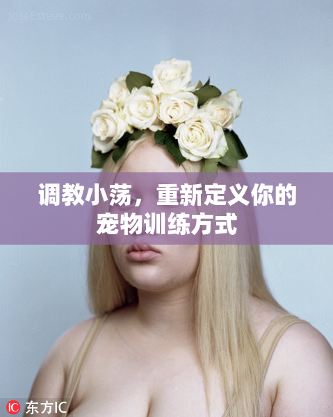 调教小荡，重新定义你的宠物训练方式