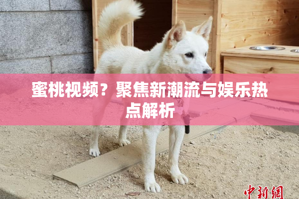 蜜桃视频？聚焦新潮流与娱乐热点解析