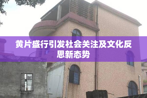 黄片盛行引发社会关注及文化反思新态势