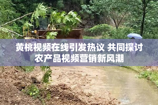 黄桃视频在线引发热议 共同探讨农产品视频营销新风潮
