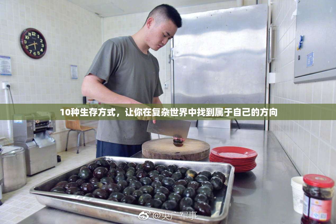 10种生存方式，让你在复杂世界中找到属于自己的方向