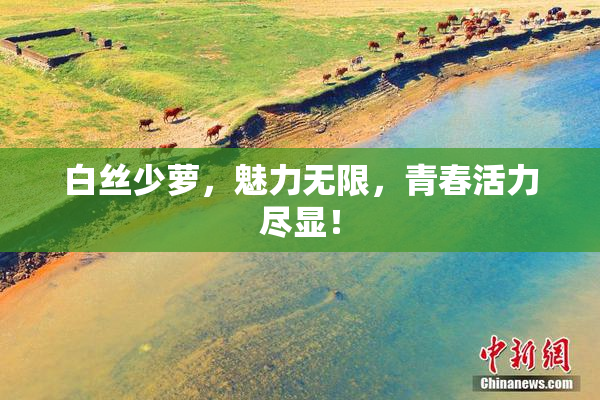白丝少萝，魅力无限，青春活力尽显！