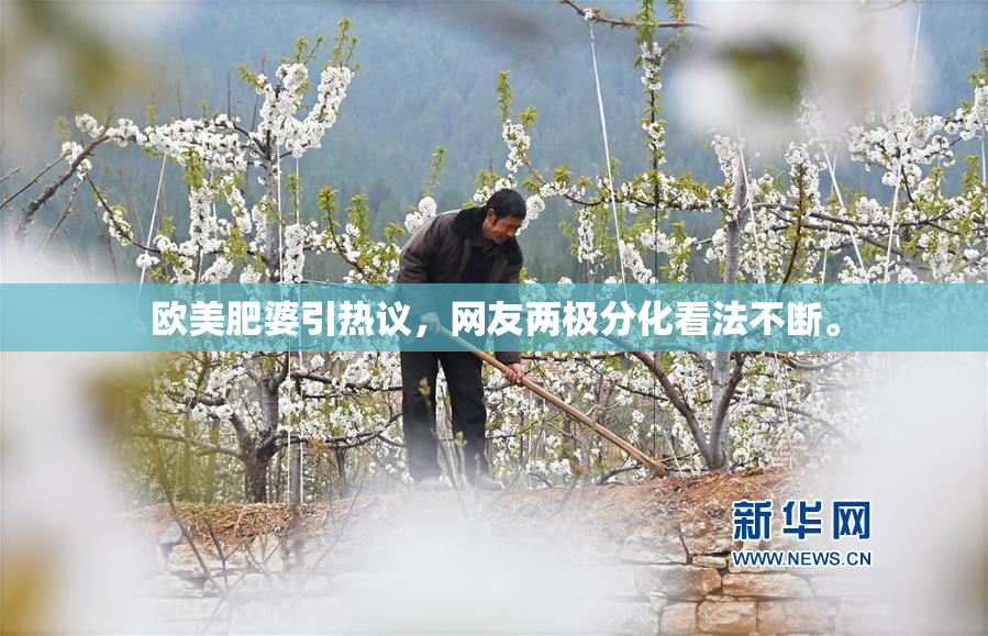 欧美肥婆引热议，网友两极分化看法不断。
