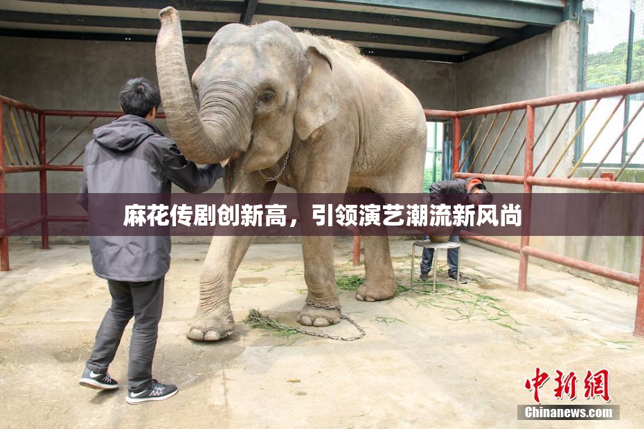 麻花传剧创新高，引领演艺潮流新风尚