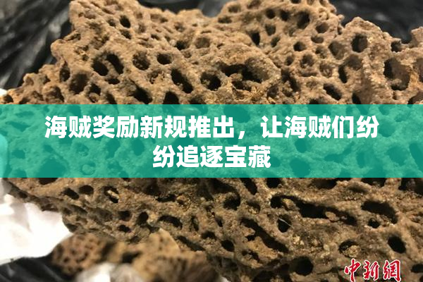 海贼奖励新规推出，让海贼们纷纷追逐宝藏