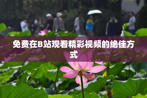 免费在B站观看精彩视频的绝佳方式