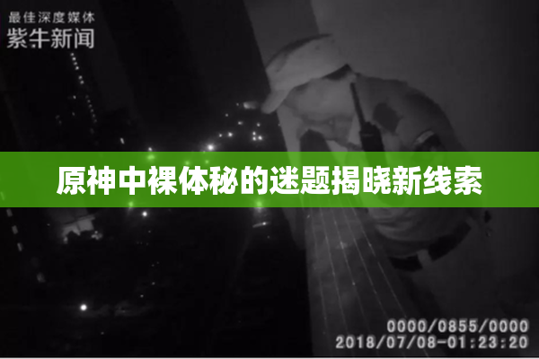 原神中裸体秘的迷题揭晓新线索