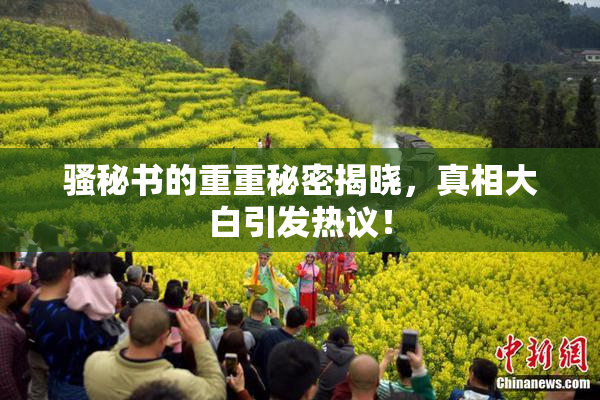 骚秘书的重重秘密揭晓，真相大白引发热议！