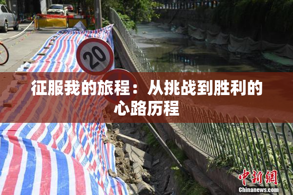 征服我的旅程：从挑战到胜利的心路历程