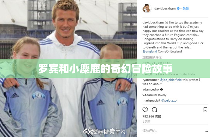 罗宾和小麋鹿的奇幻冒险故事