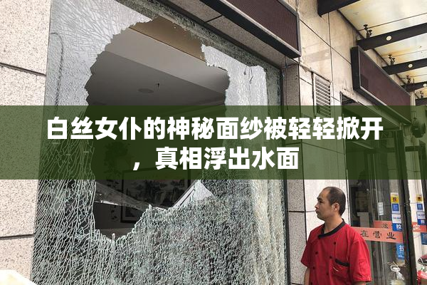 白丝女仆的神秘面纱被轻轻掀开，真相浮出水面