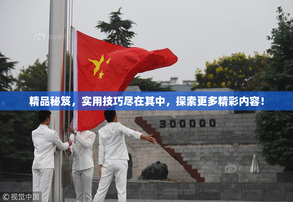 精品秘笈，实用技巧尽在其中，探索更多精彩内容！