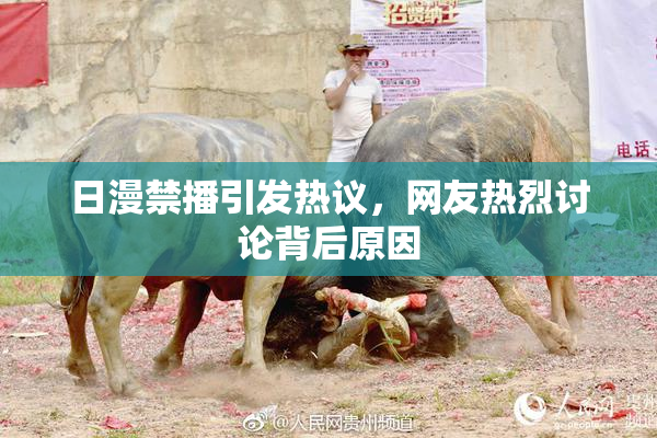 日漫禁播引发热议，网友热烈讨论背后原因