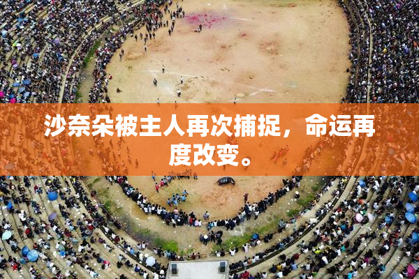 沙奈朵被主人再次捕捉，命运再度改变。