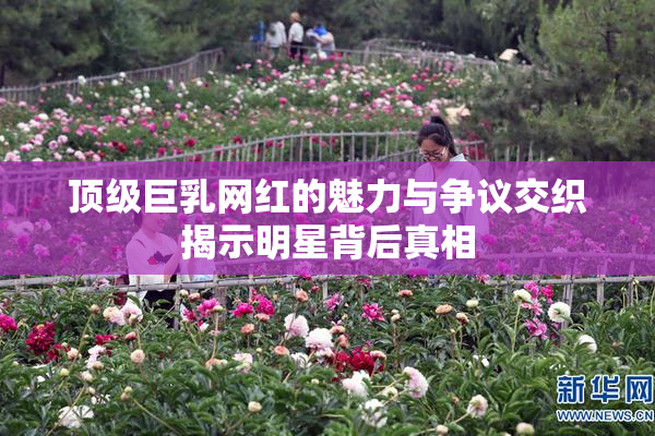 顶级巨乳网红的魅力与争议交织揭示明星背后真相