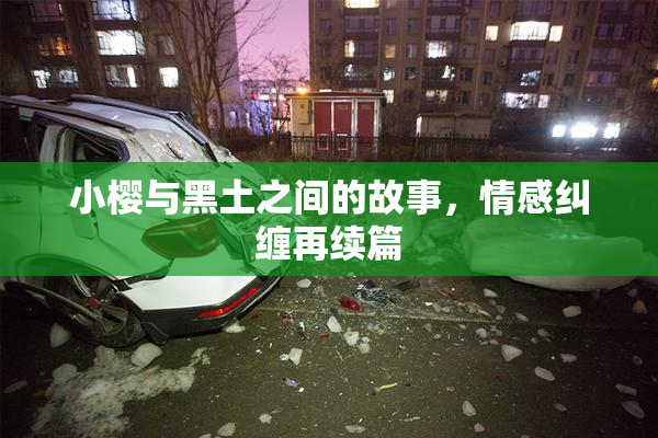 小樱与黑土之间的故事，情感纠缠再续篇