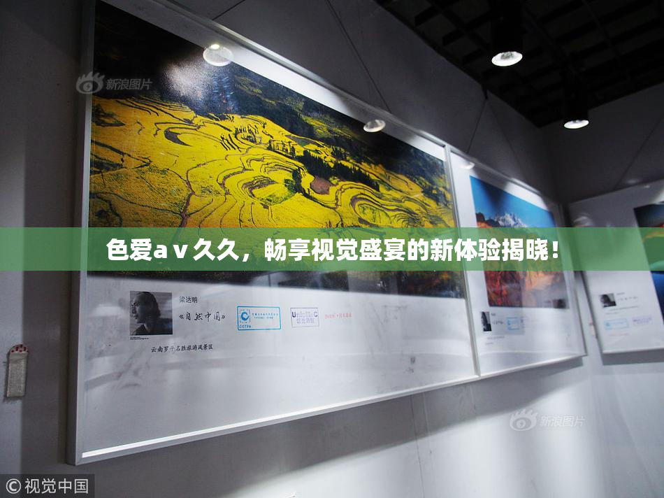 色爱aⅴ久久，畅享视觉盛宴的新体验揭晓！