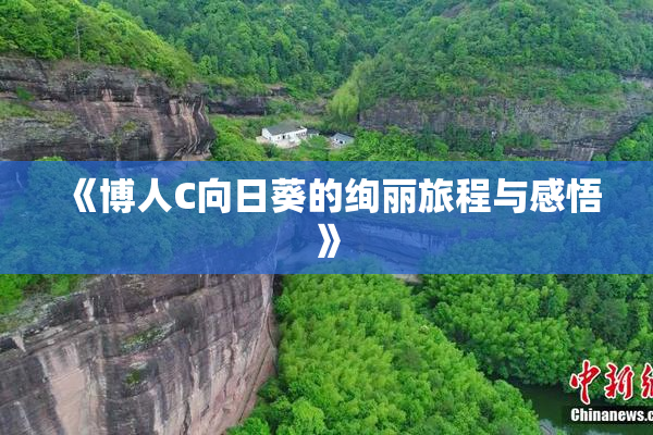 《博人C向日葵的绚丽旅程与感悟》