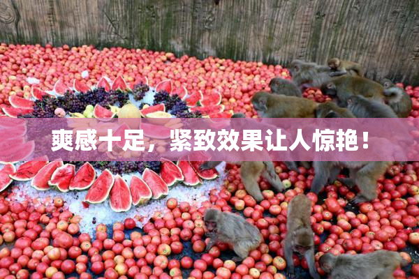 爽感十足，紧致效果让人惊艳！