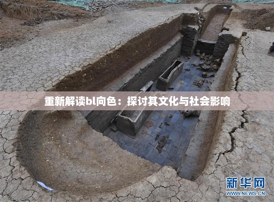 重新解读bl向色：探讨其文化与社会影响
