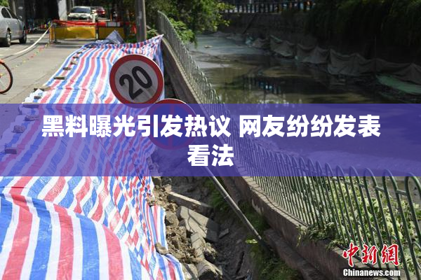 黑料曝光引发热议 网友纷纷发表看法