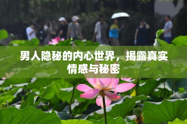 男人隐秘的内心世界，揭露真实情感与秘密