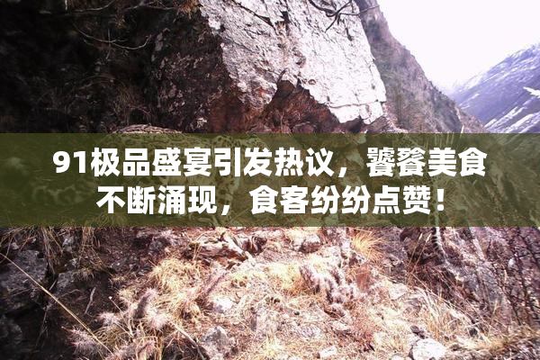 91极品盛宴引发热议，饕餮美食不断涌现，食客纷纷点赞！