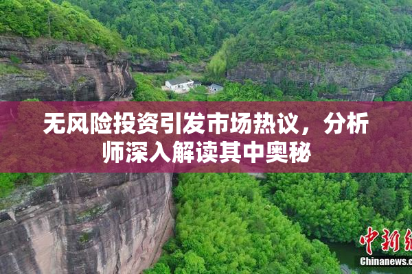 无风险投资引发市场热议，分析师深入解读其中奥秘