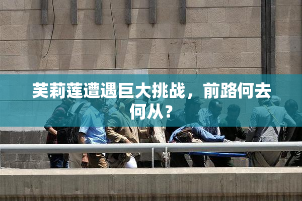芙莉莲遭遇巨大挑战，前路何去何从？