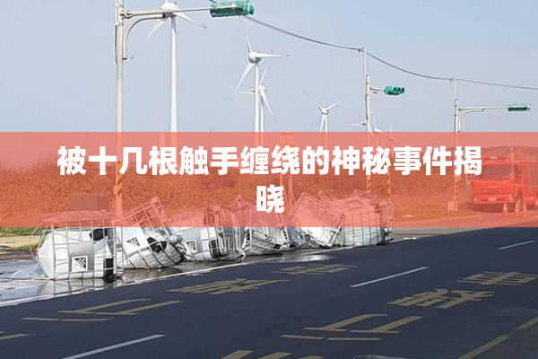 被十几根触手缠绕的神秘事件揭晓