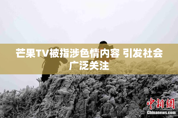 芒果TV被指涉色情内容 引发社会广泛关注