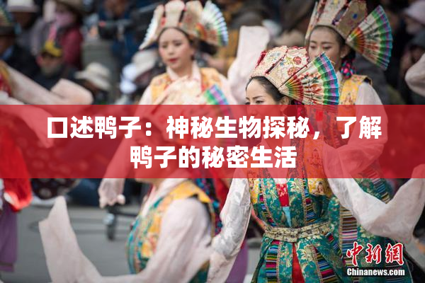 口述鸭子：神秘生物探秘，了解鸭子的秘密生活