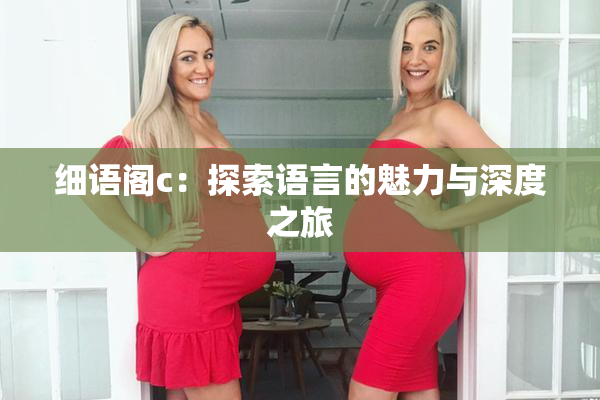 细语阁c：探索语言的魅力与深度之旅