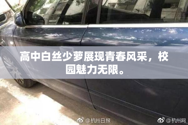 高中白丝少萝展现青春风采，校园魅力无限。