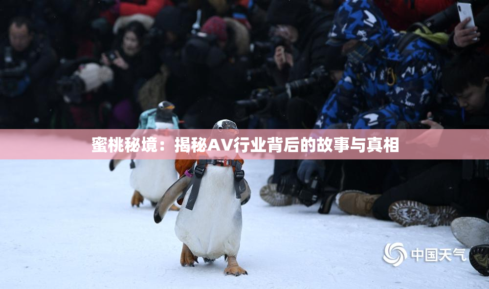 蜜桃秘境：揭秘AV行业背后的故事与真相