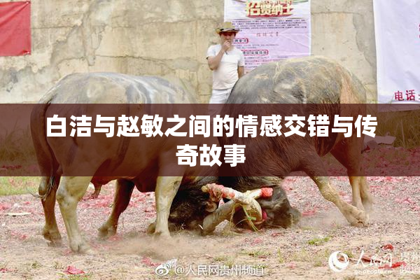 白洁与赵敏之间的情感交错与传奇故事