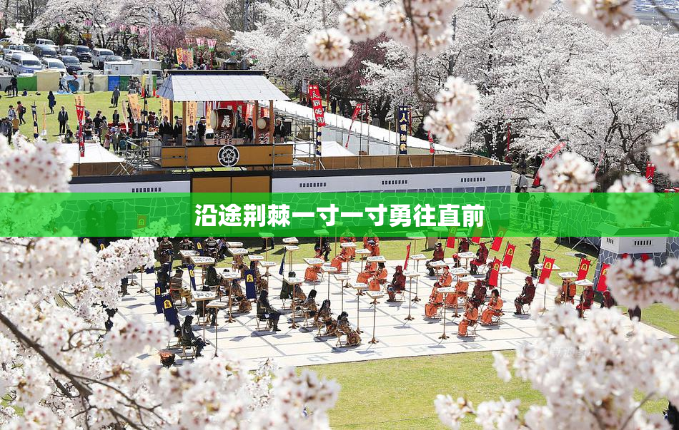 沿途荆棘一寸一寸勇往直前