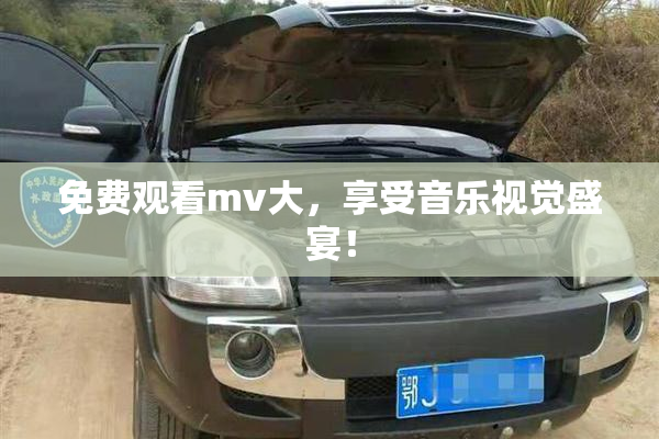 免费观看mv大，享受音乐视觉盛宴！