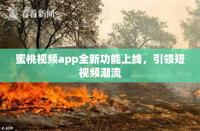 蜜桃视频app全新功能上线，引领短视频潮流