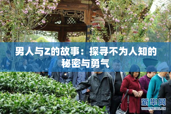 男人与Z的故事：探寻不为人知的秘密与勇气