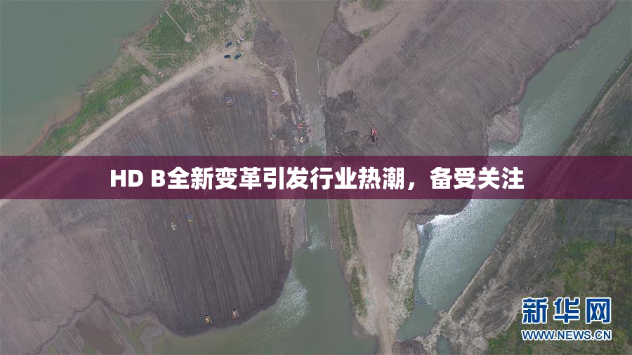 HD B全新变革引发行业热潮，备受关注