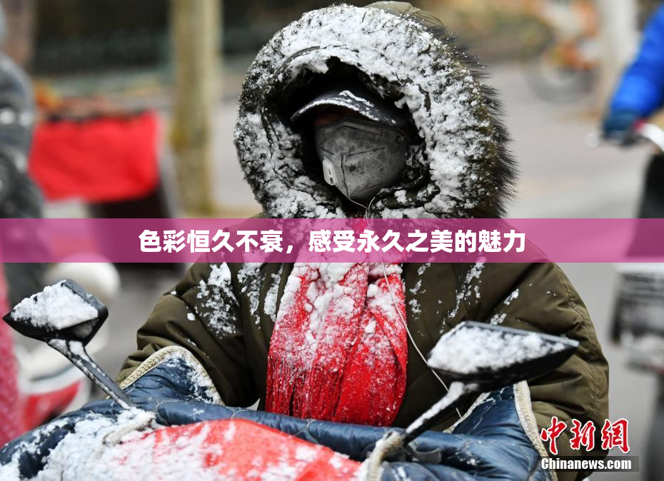 色彩恒久不衰，感受永久之美的魅力