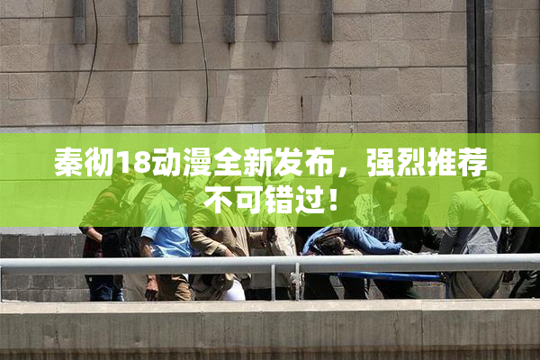 秦彻18动漫全新发布，强烈推荐不可错过！