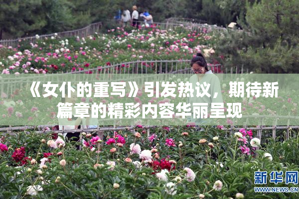 《女仆的重写》引发热议，期待新篇章的精彩内容华丽呈现