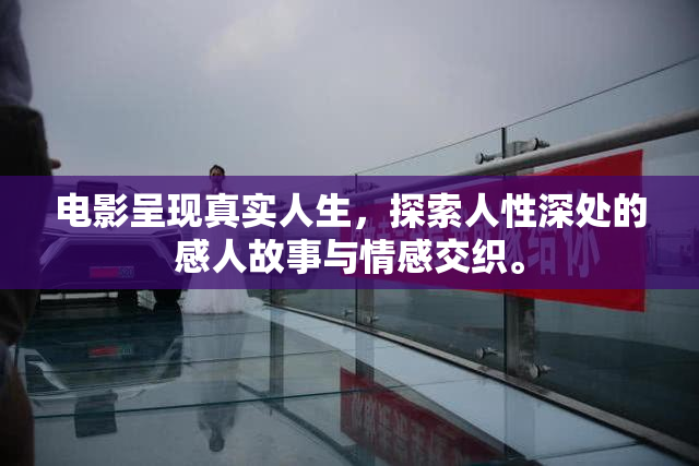 电影呈现真实人生，探索人性深处的感人故事与情感交织。