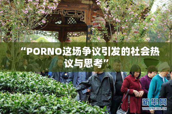 “PORNO这场争议引发的社会热议与思考”