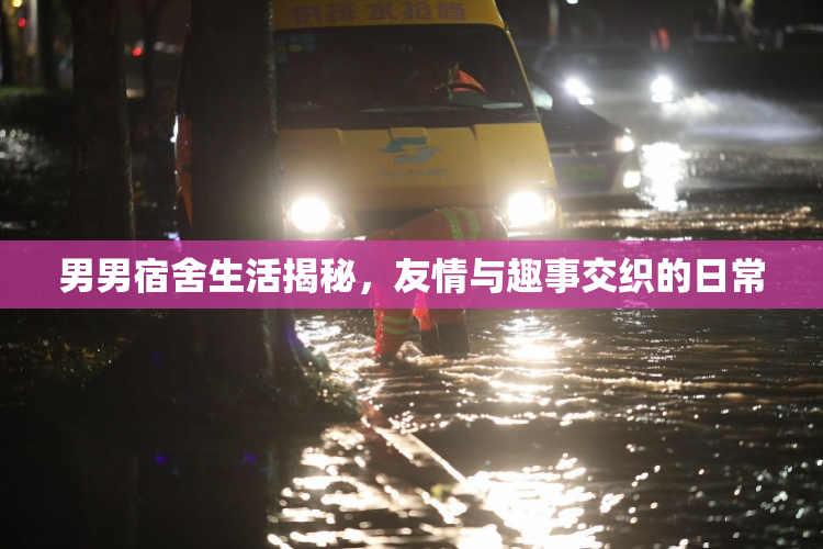 男男宿舍生活揭秘，友情与趣事交织的日常